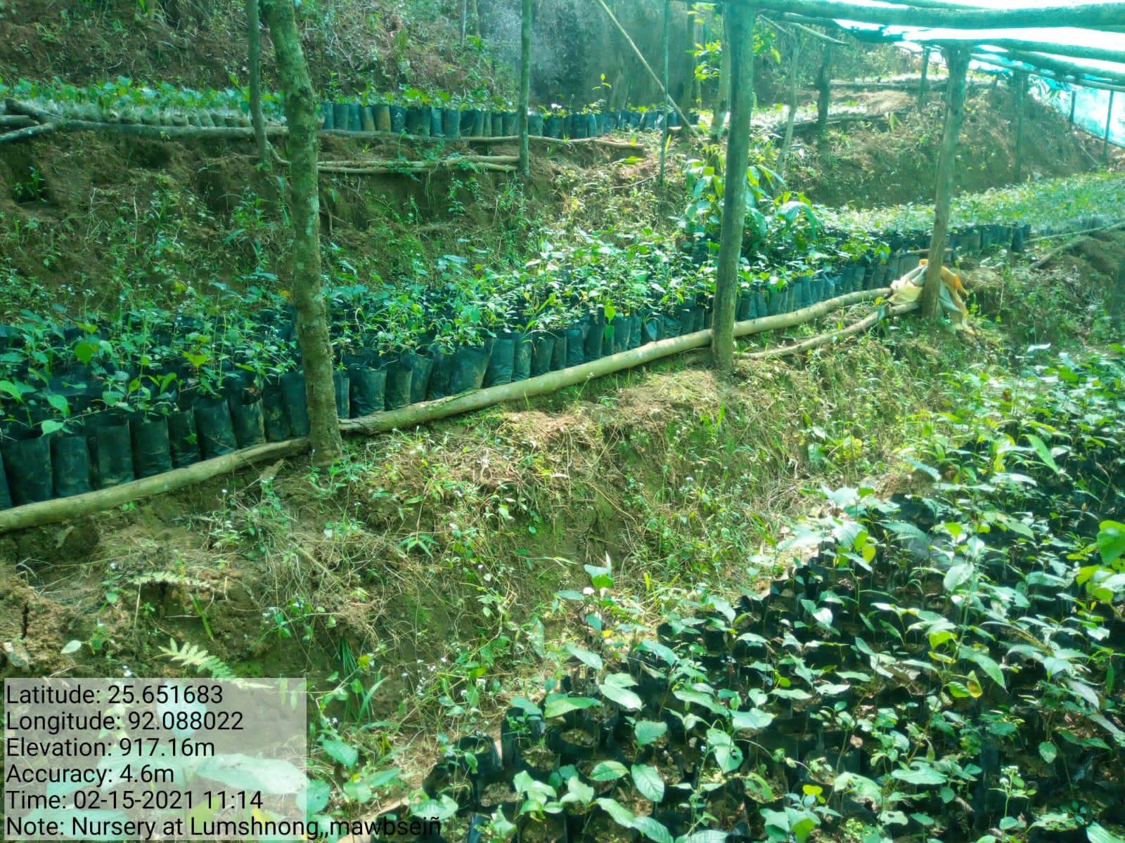 D:\chel's\basin\BHOIRYMBONG\mawbsein and umtung\MAWBSEIN\IMG-20220406-WA0004.jpg